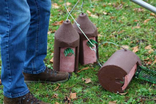 Nistkästen Quelle Bistum Fulda/Fr. Lea Hohmann