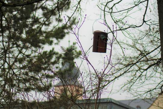 Nistkästen Quelle Bistum Fulda/Fr. Lea Hohmann